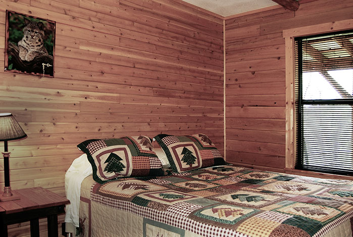 Bobcat-bedroom-two