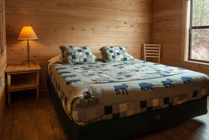 Coyote-bed-three